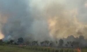 kebakaran hutan