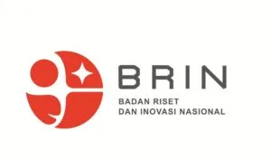 brin
